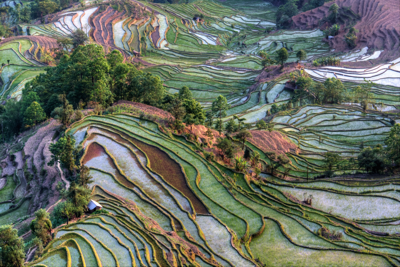 nubbsgalore:  the remote, secluded and little known rice terraces of yuanyang county