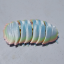 giant-isopod-overlord