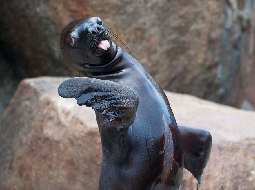 wellthatsadorable:  &ldquo;WHATEVER, KAREN.&rdquo;
