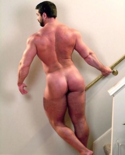 blkguylovesbears:  Daddy’s wife was out of town so we had the house to ourselves. He felt so liberated he ran down stairs completely naked , I ate daddy’s ass right on the stairs , was so hot ! 