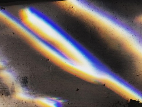 #spectralphotography