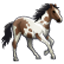 foalfelicity