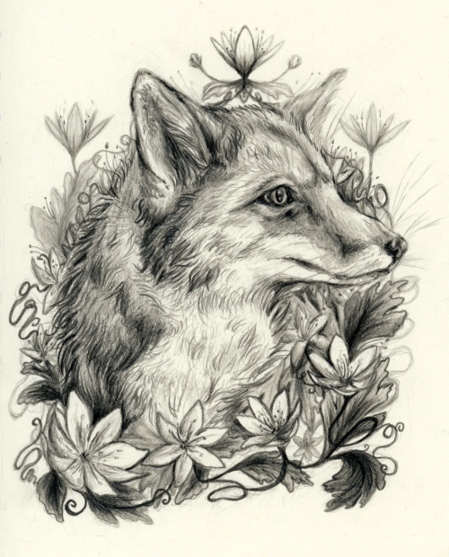 The Fox Prince - Graphite