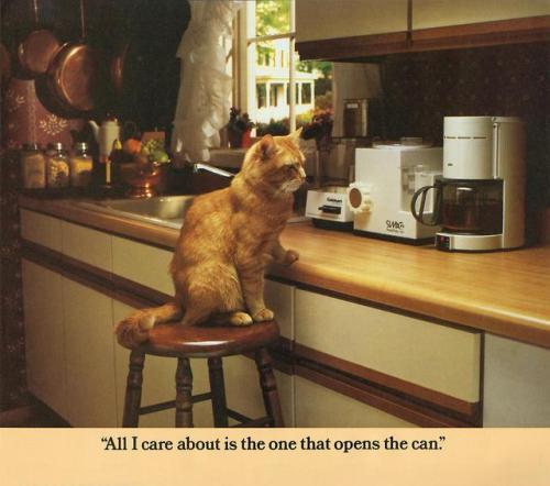 theunimpairedcondition:c86:Morris: A Cat For Our Times, 1986The more things change….