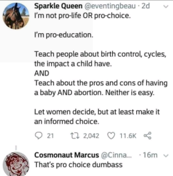 itsnotjustpms: What do people think pro-choice is? Do they seriously think we’re holding women down and forcing them into abortions?!? Educate yourself fool!!!