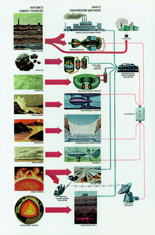 nevver:National Geographic Infographics, Taschen