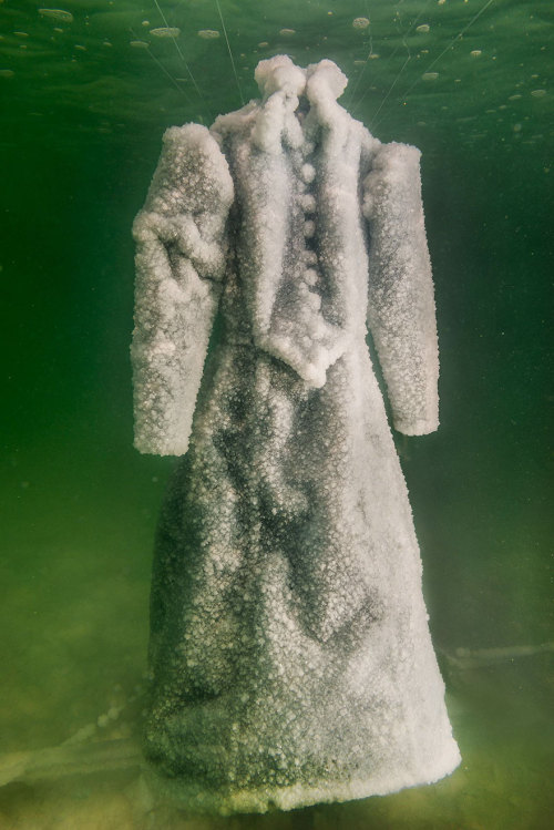 que-mystery:cloudfreed:boredpanda:Artist Leaves Dress In The Dead Sea For 2 Years And It Turns Into 