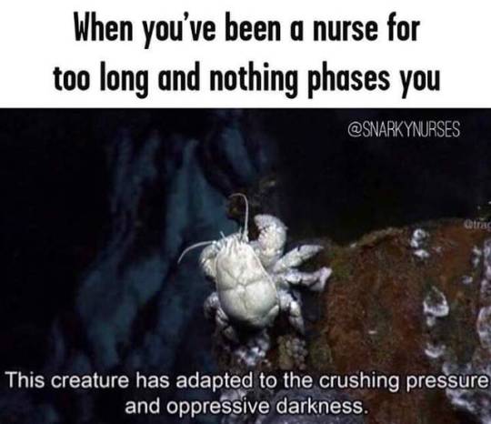ihavekalopsia:  ameliexnurse:    My job is weird 🖤  For all my nurses out there, y’all are amazing and I love you for what you do! ❤️