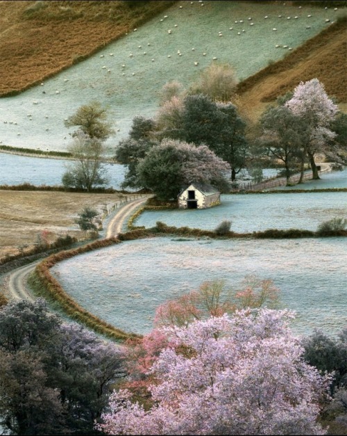 malemalefica - Pays Basque, France