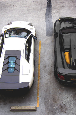 atlasofvanity:  Lamborghini and Gemballa