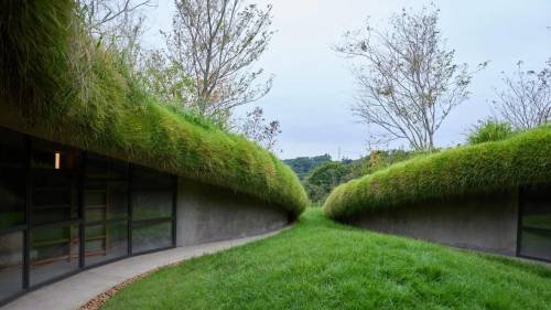 vehementlyjones:itscolossal:Readers Burrow into a Bookworm Haven in Kurkku Fields’ ‘Underground Library’@carnalreincarnated 