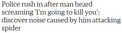 fadetouched:   “What about the woman screaming?” “Yeah sorry, that was me,” he said. “I really, really hate spiders.”  