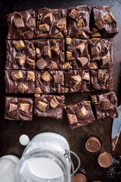 sweetoothgirl:  The Very Best Peanut Butter Cup Fudge Brownies   