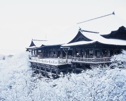 Fuckyeahjapanandkorea:  清水の舞台 - 清水寺 ／ Kiyomizu No Butai - Kiyomizu-Dera