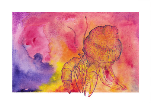 zarahfeeillustrations: One page of Sommer This is a page of the sealife calender i am working on for