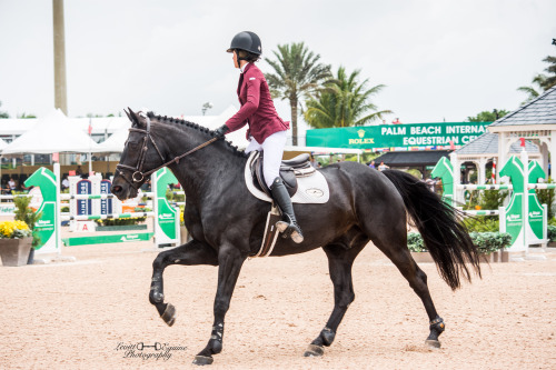 sit2beats:  WEF ‘16 Rider: Jamie Buis ⒸLevitt Equine Photography | ig: LevittEquinePhotog