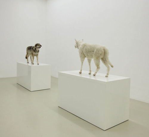 neongnosis:categorized-art-collection:Timm Ulrichs, “Wolf im Schafspelz – Schaf im Wolfs