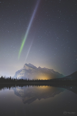 visualechoess:    Searchlights by Paul Zizka  