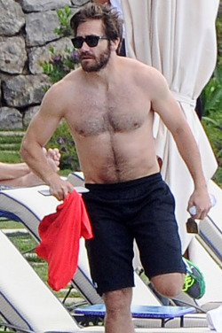 shirtlessmalecelebs:  Jake Gyllenhaal