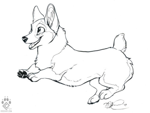 Ink commission of a cute corgi named Meadow!Art © Idesshttps://www.weasyl.com/%7Eidess/submissions/1