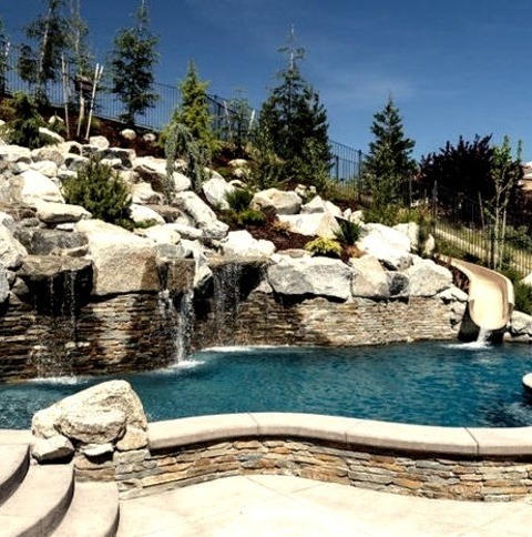 Tropical Pool In Sacramento