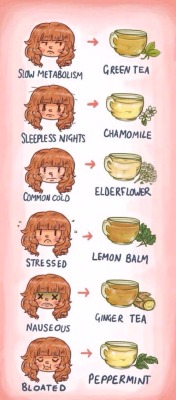 daisy-economy:  Teas, and when you need it