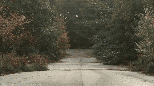 throttlefordays: Tuerck off-seasons. www.throttlefordays.com
