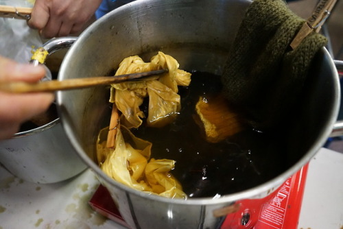 bio-child:Dyeing with Mushrooms
