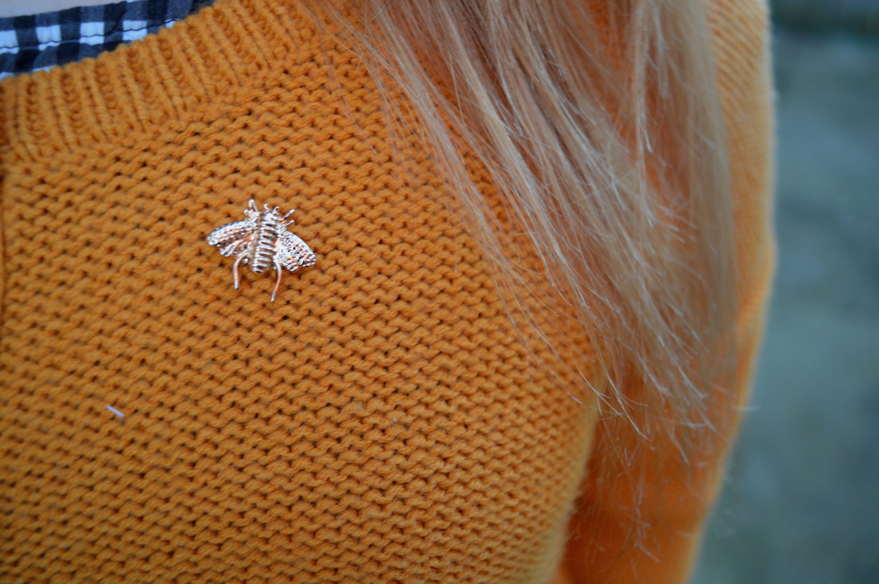 fatgirlstyle:  pumpkinandpies:  Outfit of the (other) day I kept meaning to upload