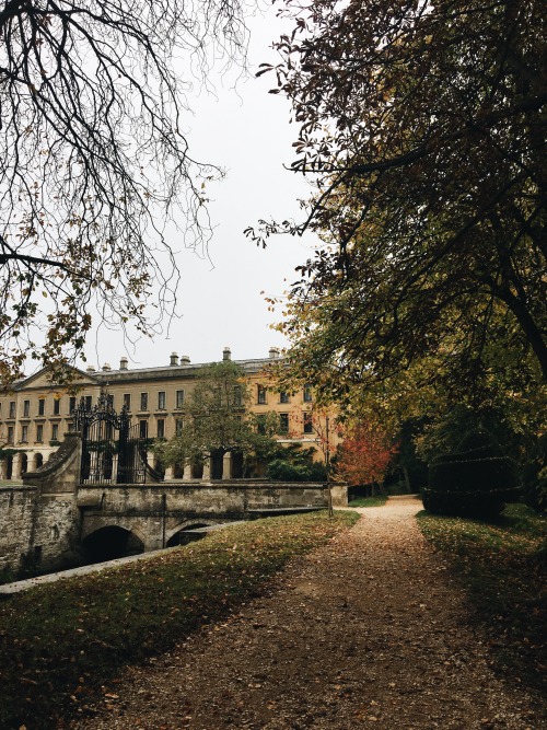 oxford is looking very autumnal