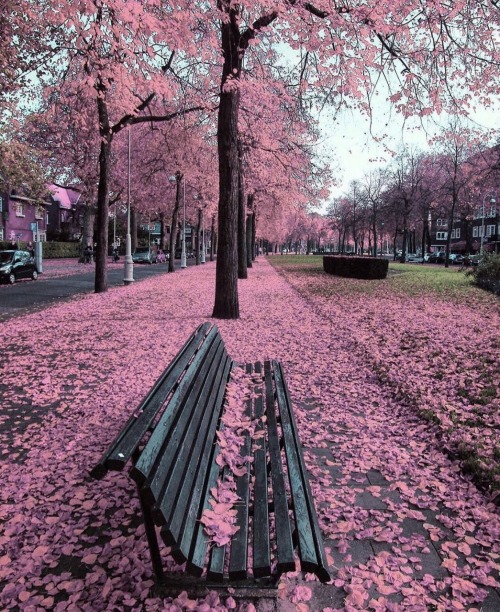 Amsterdam, Netherlands