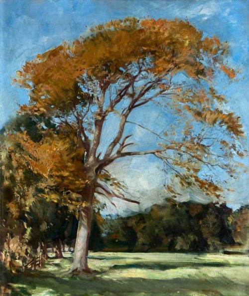 The Yellow Tree   -    William Bruce Ellis Ranken British, 1881-1941Oil on canvas,75.6 x 63.5 cm