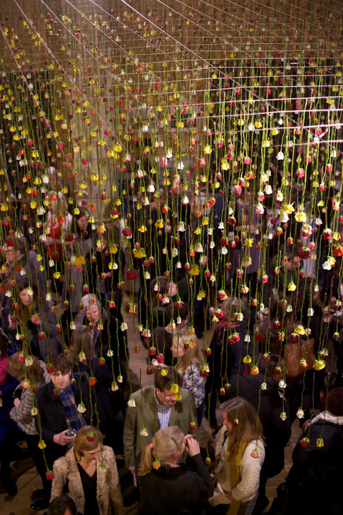  Hanging gardens by Rebecca Louise Law 
