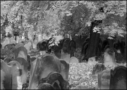 SIGHT OF THE TOMBS