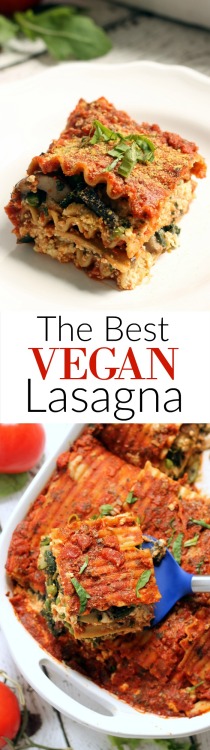  The Best Vegan Lasagna