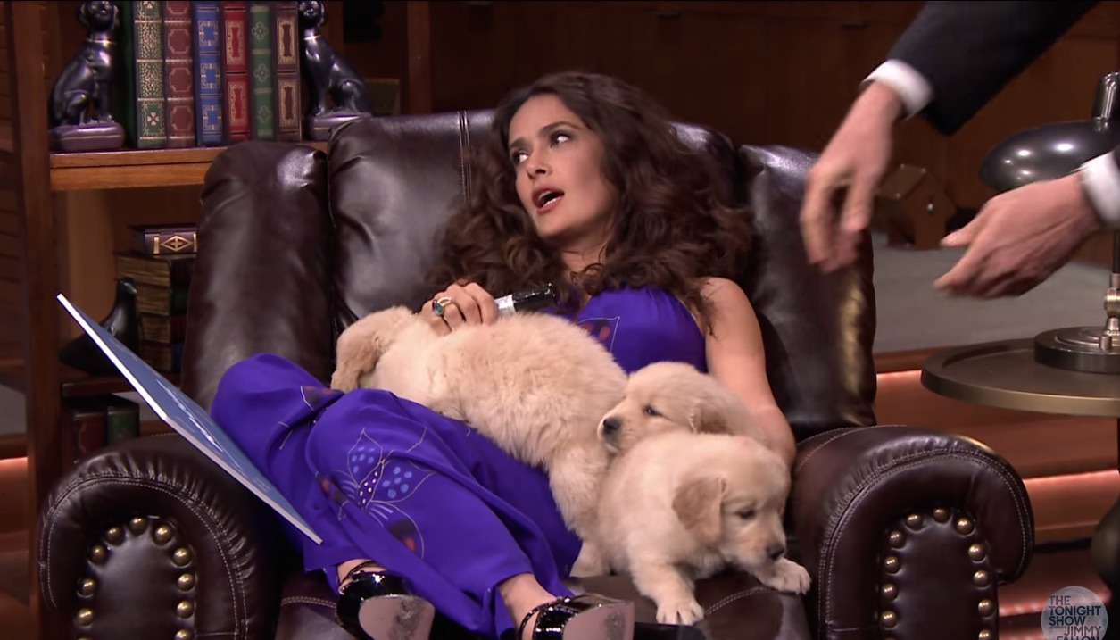 Salma Hayek Battles To Have The Most Puppies Sit On Her Lap On The Tonight ShowThe one late night game you’re not allowed to dislike because it’s an affront to the puppies.