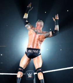 fishbulbsuplex:  Randy Orton