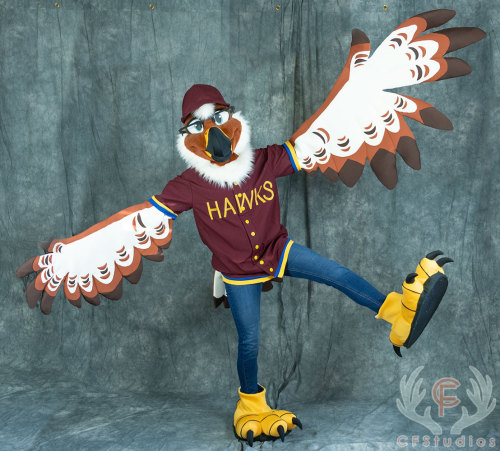 Happy Fursuit Friday!✨Meet Hecky the Hawk, a mascot for Hawks Dream Field! They&rsquo;re a non-p