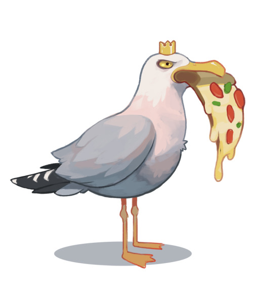 rob-lopatto:Mega seagull 