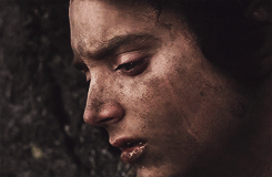 pointyearedelvishprinceling:  The Lord of the Rings meme - The Ring-bearer 
