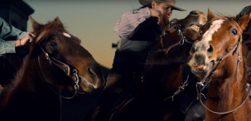 screenshots and gifs from the music video for &ldquo;Wow” by Beck