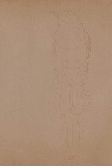 lohrien:  “Something in the air” Illustrations by Richard Wilkinson 