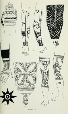nemfrog:Plate 141. Borneo tattoo designs. 1912.