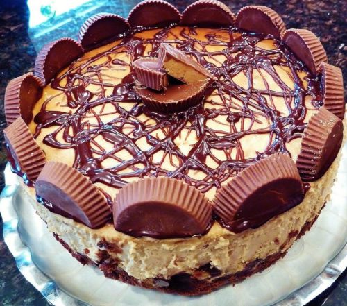 German chocolate cheesecake recipe