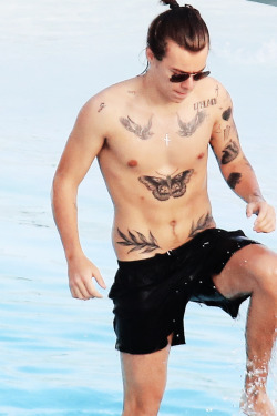 everyzaynaboutlou:  The Bodies - One Direction May 2014 Brazil 