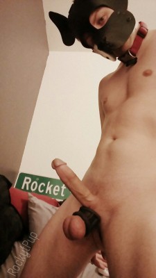 rockytpup:Puppy cock!