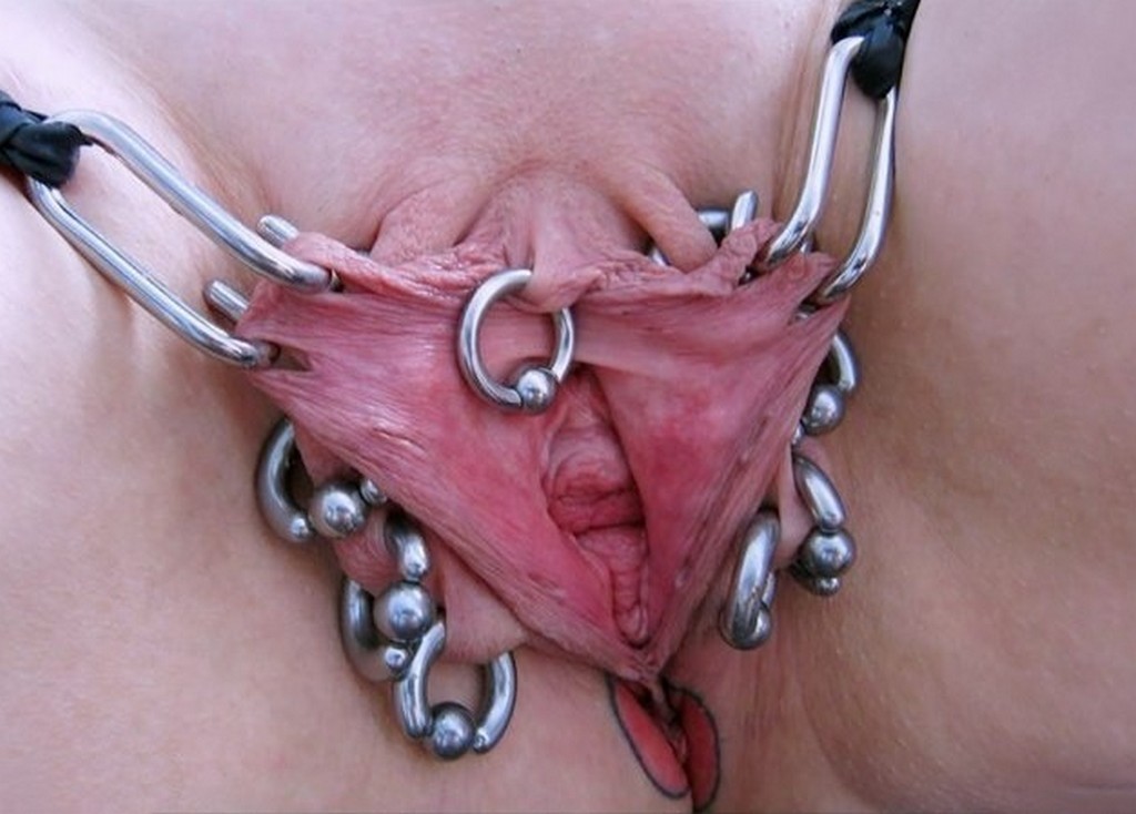 pussymodsgalore  Photoset showing an interesting variety of pierced pussies, some