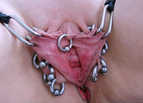 pussymodsgalore  Photoset showing an interesting variety of pierced pussies, some of them spread wide. Some at least are of the same pussy, but displayed in different ways. Once your pussy is well pierced, you can do so many different things with it.