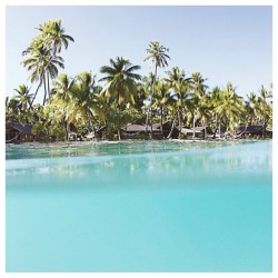 Paradise found ☼ #castaway (at www.castawaylabel.com)