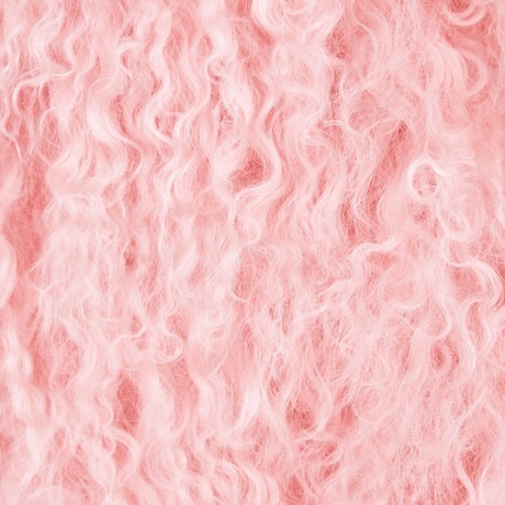aesthefrick:  Pink Fur  